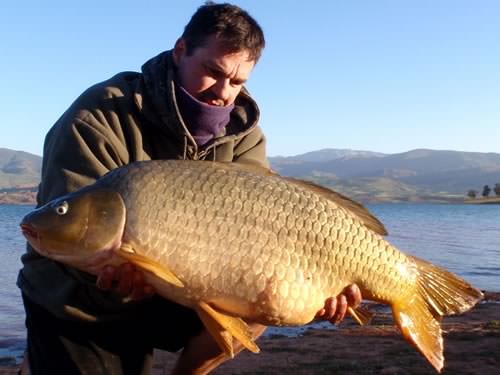 Andy Wallis - Bin El Ouidane 27lb 8oz