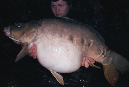 Carl Sharp - Dovecote 14lb 0oz