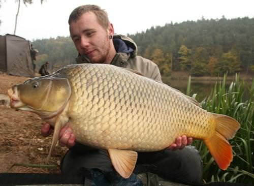 Jakub Rouš - nádrž Asuán 17lb 6oz
