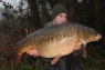 The Awesome LINEAR 38.2 .....Buzzzziiinnnggg!!!!