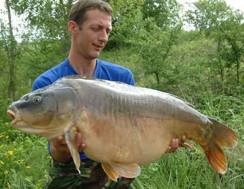 Karl King - Etang de la Croix Blanche 40lb 0oz