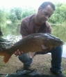 10lb common carp, caught stalking under a tree, using freelined bread on the surface, also went on to catch a further 8 carp of a smaller size, but what a great bit of fun. 