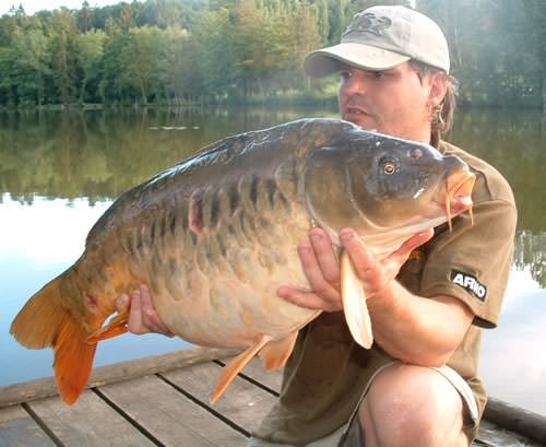 Malcolm Rimmer - La Fonte 34lb 0oz