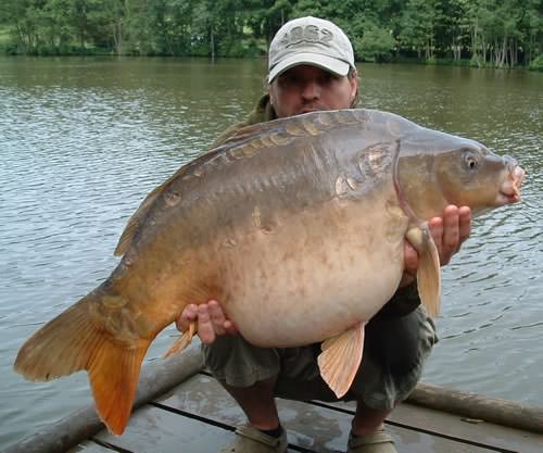 Malcolm Rimmer - La Fonte 36lb 0oz