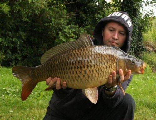 Mike Quirke - Belvelly 11lb 7oz