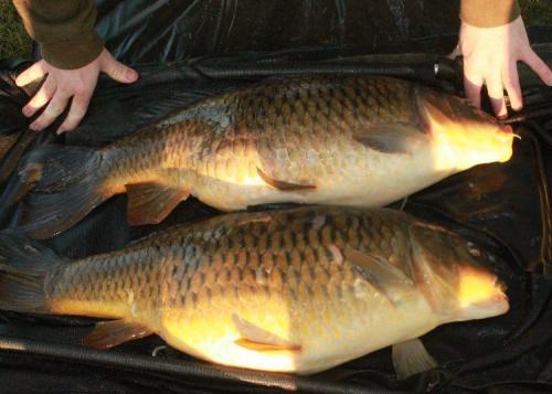 Mike Quirke - The Lough 16lb 0oz