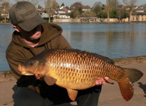 Mike Quirke - The Lough 16lb 0oz