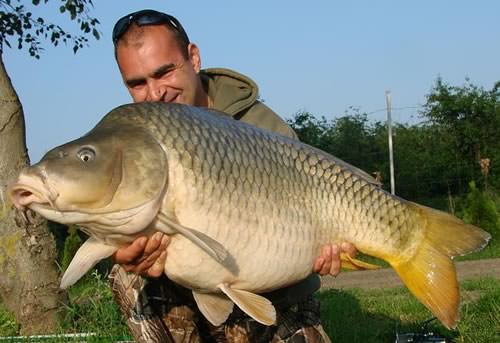 Mátyás Sándor - Hungary 46lb 3oz