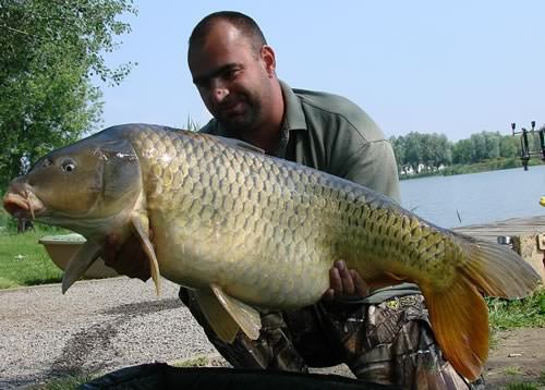 Mátyás Sándor - Hungary 38lb 1oz