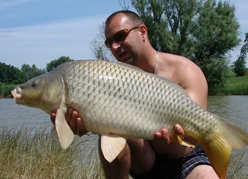 Mátyás Sándor - Mór lake 15lb 4oz