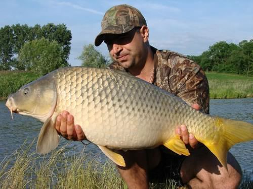 Mátyás Sándor - Mór lake 14lb 3oz