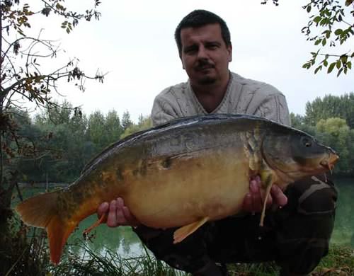 Pavol Timko - River Danube 19lb 8oz