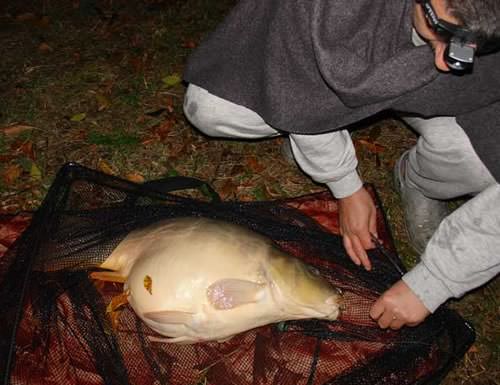 Pavol Timko - River Danube 26lb 7oz