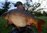 Current PB, caught using 4THIRDS PVA.