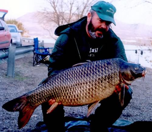 Ron Woodward - River Segra 40lb 4oz