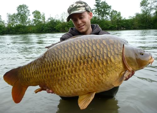 Tom Brothier - River Oise 33lb 0oz