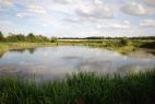 Airfield Lakes