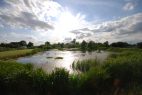 Airfield Lakes