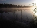 Aveley Lake