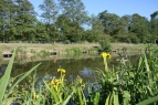 Barford Lakes