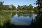 Barford Lakes