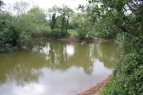 Biddlestone Pool