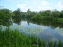 Birchwood Pool