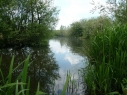 Birchwood Pool