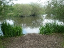 Birchwood Pool