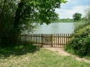 Black Swan (Dinton Pastures)