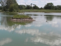 Blackthorn Fishery