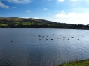 Bosley Reservoir