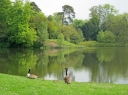 Bowood Lake