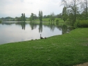 Bowood Lake