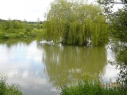 Brampton Fisheries