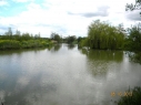 Brampton Fisheries