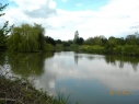 Brampton Fisheries