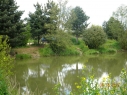 Brampton Fisheries