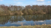 Brereton Pool