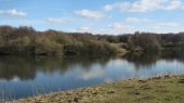 Brereton Pool