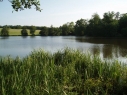 Broadoak Fisheries