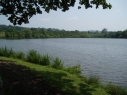 Broadoak Fisheries