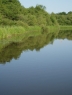 Broadoak Fisheries