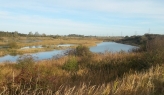 Burwell Brick Pit