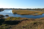 Burwell Brick Pit