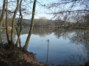 Bury Hill Fisheries