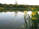 Carpenters Lake