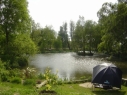 Castle Fisheries