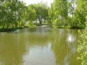 Castle Fisheries