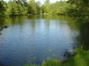 Churchwood Fisheries